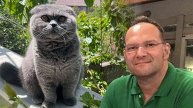 Kedi Tüyü İddiası Yanıltıcı! Gerçek Ölüm Sebebi Ortaya Çıktı!